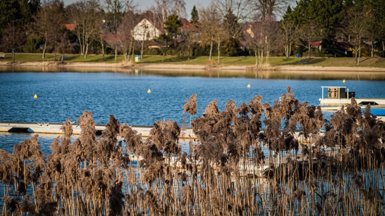 Villa Ferienhaus Frieda Kiebitzsee à Falkenburg Extérieur photo